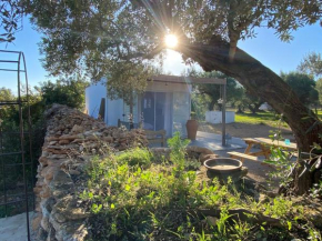 Alba Studio